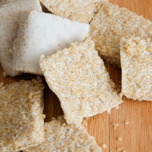 Organic Quinoa Tempeh