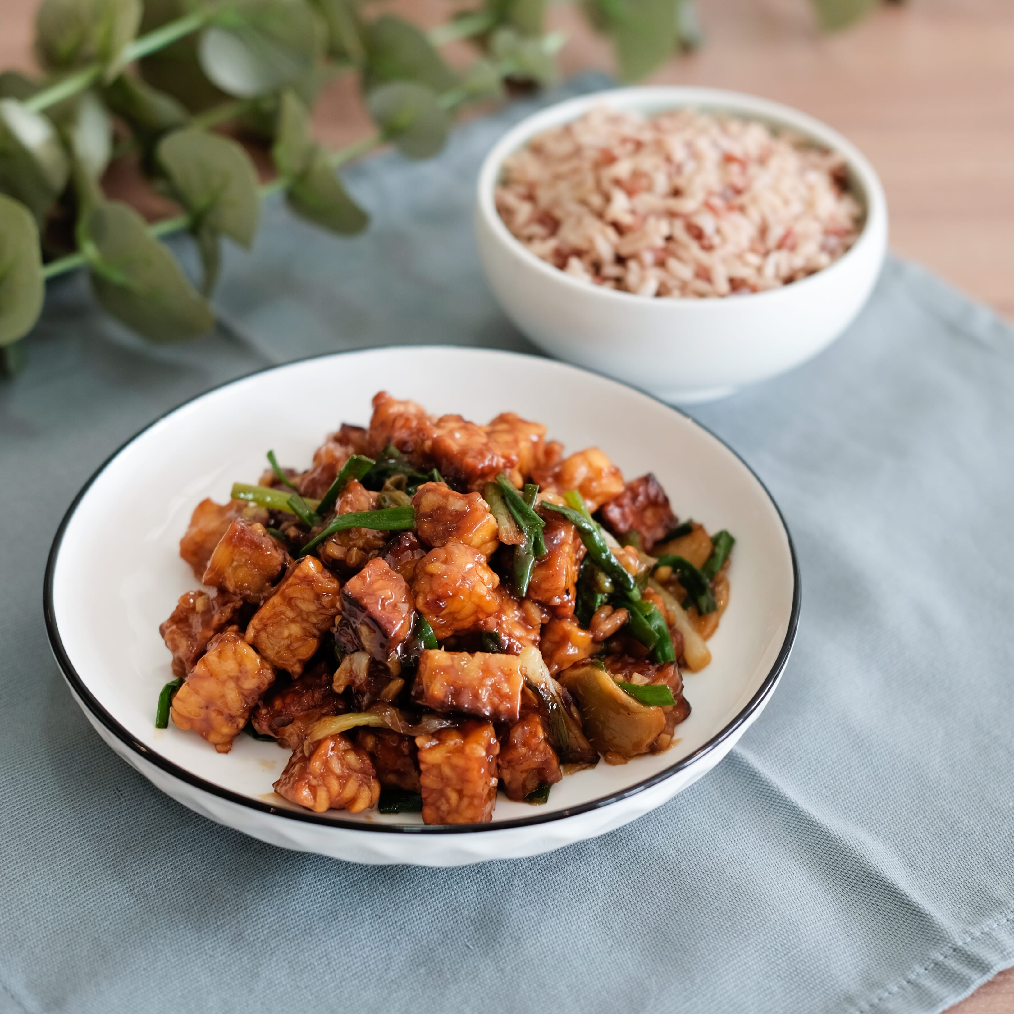 Ginger Scallion Tempeh – Angie's Tempeh