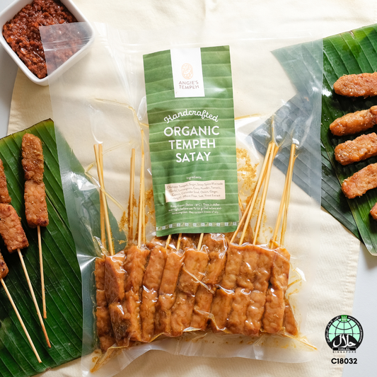 Tempeh Satay